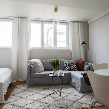 아파트 2ndhomes Ullanlinna Penthouse 헬싱키